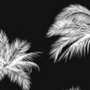 Meet your Posher, Payton